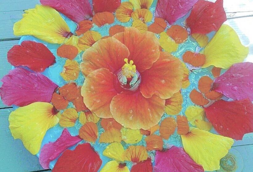 Guest House Love&peace!!   Hostel