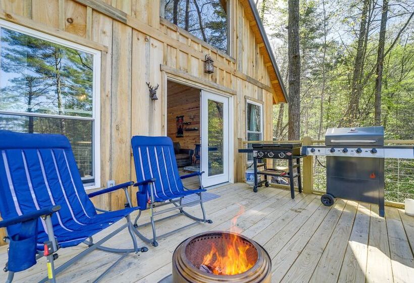 Secluded Brevard Cabin W/ Private Waterfall!