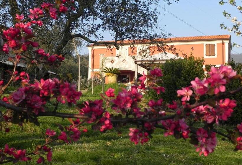 ベッドアンドブレックファースト Il Giardino Delle Esperidi