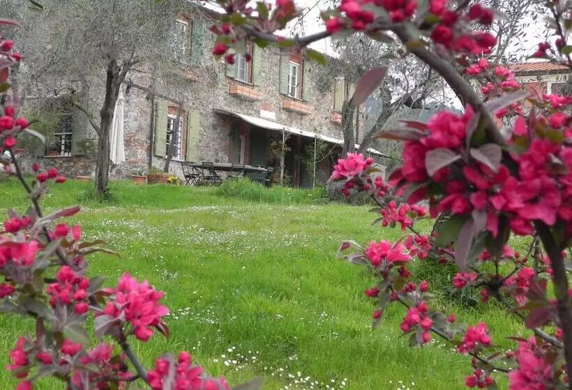 ベッドアンドブレックファースト Il Giardino Delle Esperidi