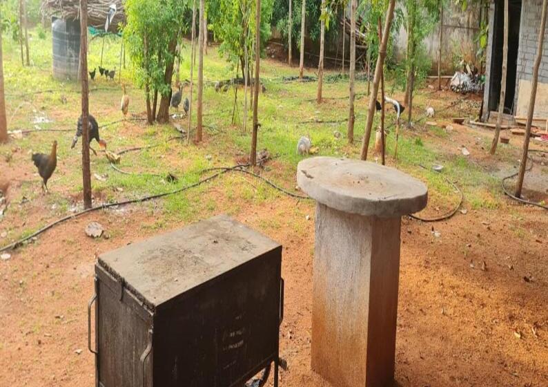 בית מלון כפרי Greenwoods Farm House