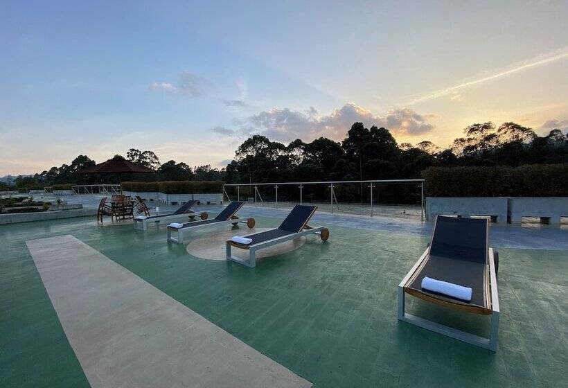 پانسیون Room In Bb   Rioverde Hotel  Junior Suite