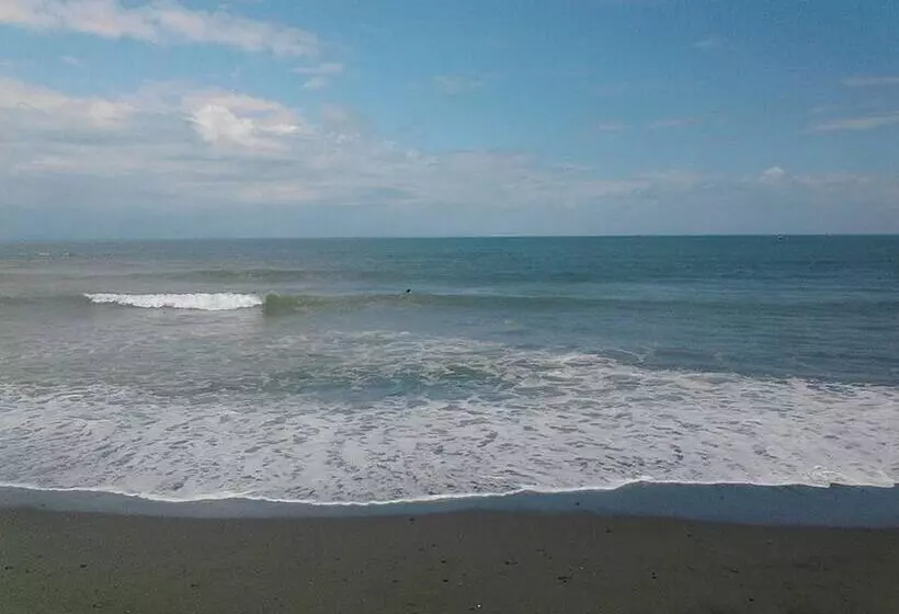 Hotelli Awel Seashore Inn Near Surf Spot