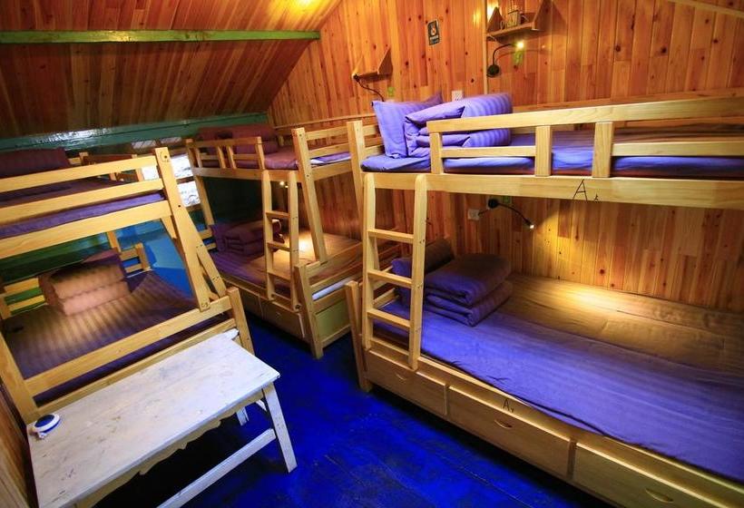 The Third Space Hostel