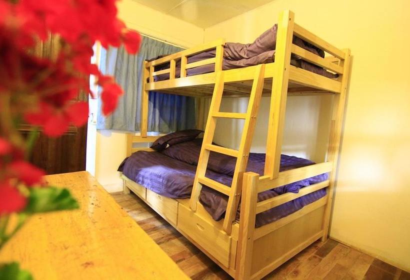 The Third Space Hostel