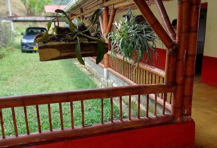 Hotelli Finca La Macarena By Welttisch