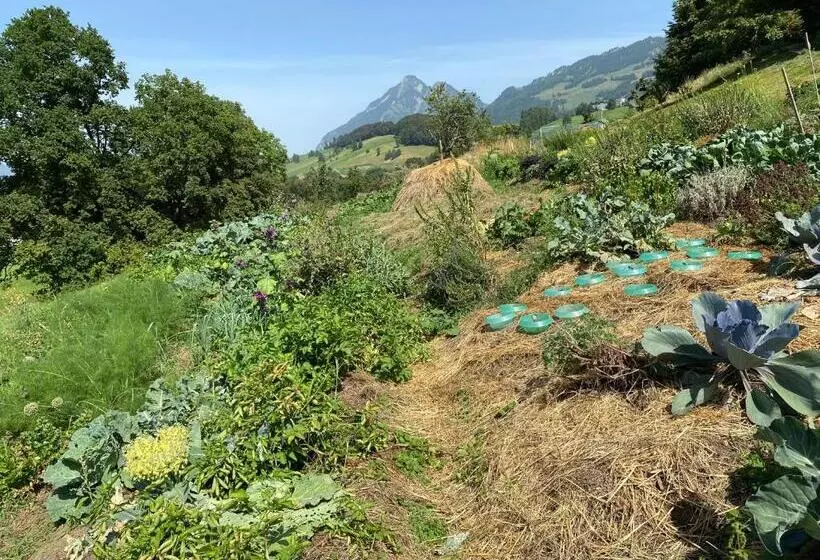 ホテル Zentrumranft Seminarhaus   Haus Der Stille