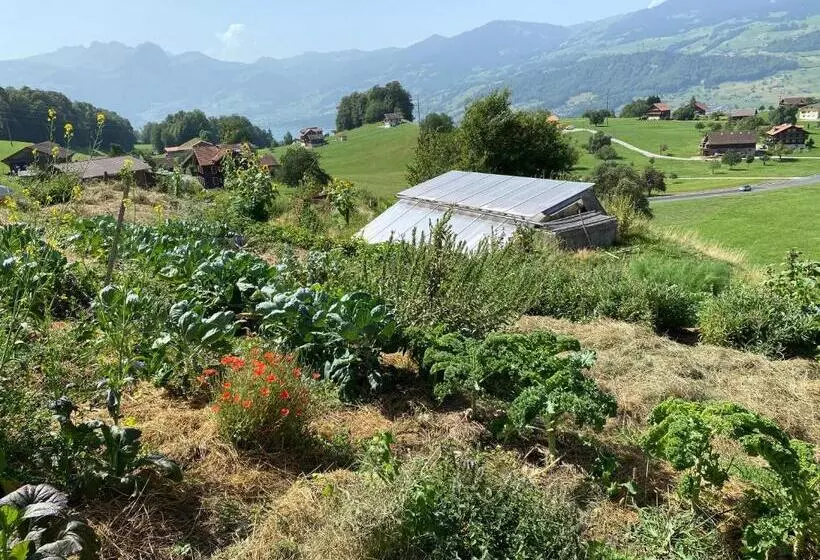 ホテル Zentrumranft Seminarhaus   Haus Der Stille