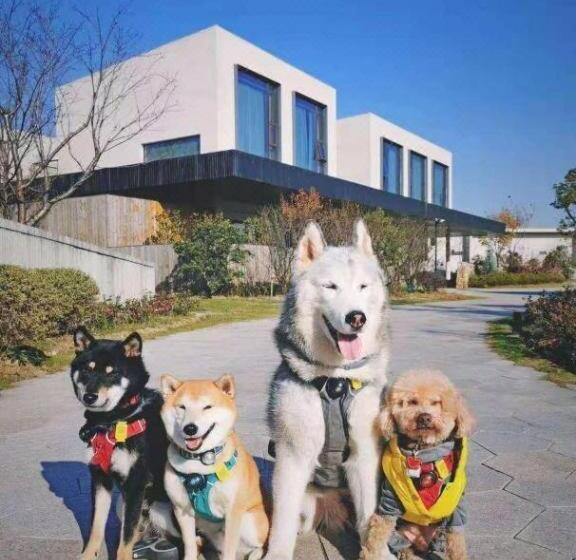 Otel Blossom House Wuxi Yangshan Taohua Island