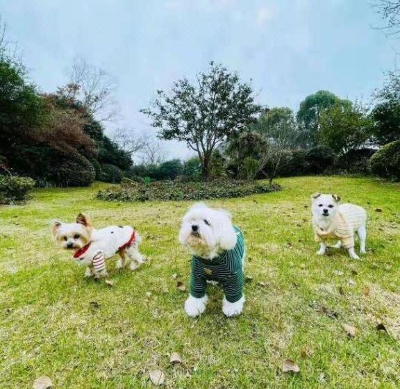 Otel Blossom House Wuxi Yangshan Taohua Island