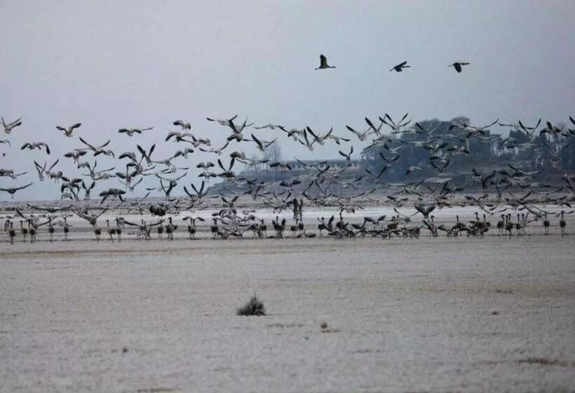 Iu Hotels·bijie Weining Caohai Railway Station