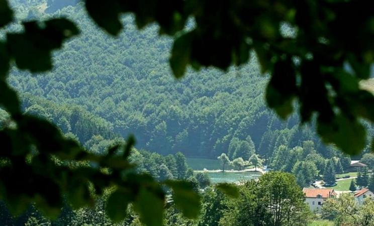 هاستل Sonnen Brijeg