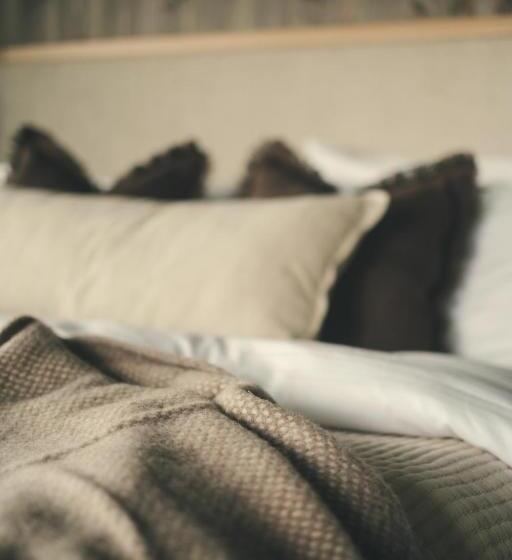 Отель Brimi Fjellstugu