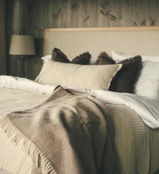 Отель Brimi Fjellstugu