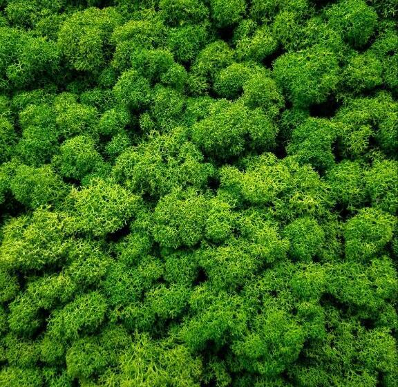 酒店 Sole Boutique