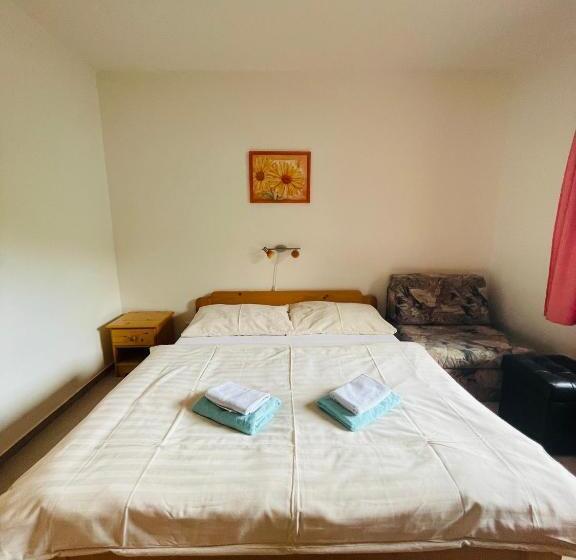 Panzió Penzion Level