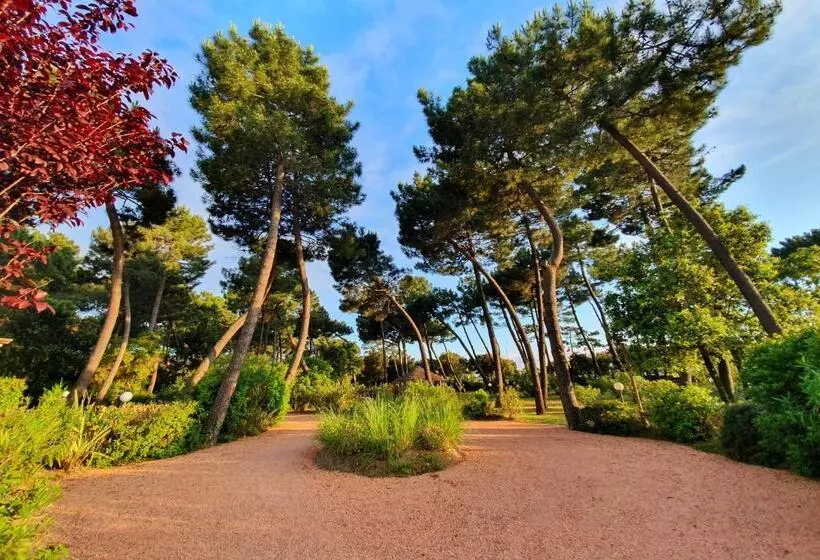 Hotelli Villa Elsa