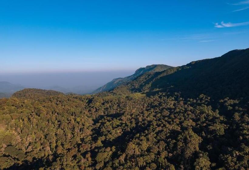 Elixir Woods Resort And Spa