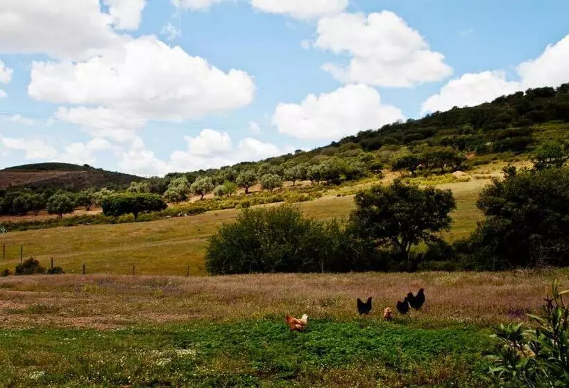 ホテル O Monte Do Alhinho   Turismo Rural