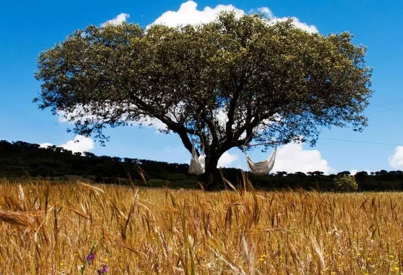 ホテル O Monte Do Alhinho   Turismo Rural