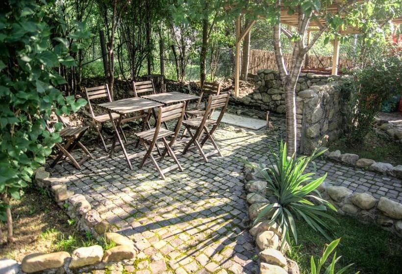 Pensiune Restaurant Tara Luanei