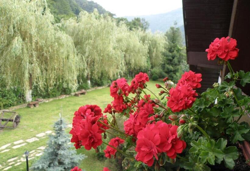 Pensiunea Dumbrăvița