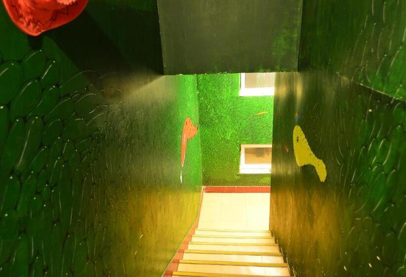 Herberge 大连天天青旅民宿