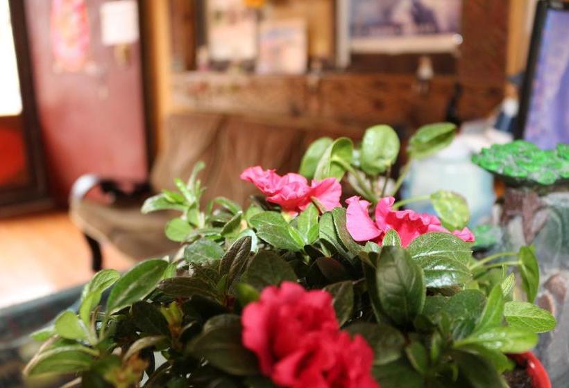 Hospedaria Shangajoy Seasons Inn