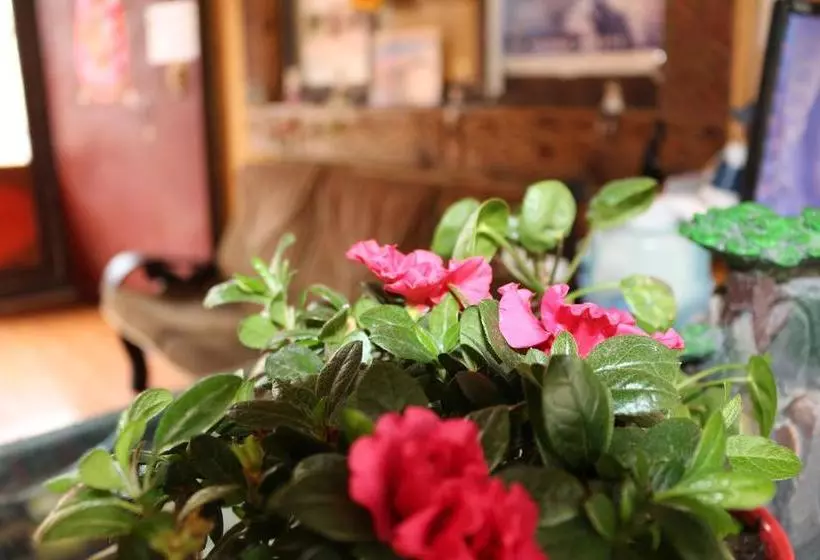 Retkeilymaja Shangajoy Seasons Inn