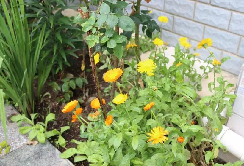 Retkeilymaja Shangajoy Seasons Inn