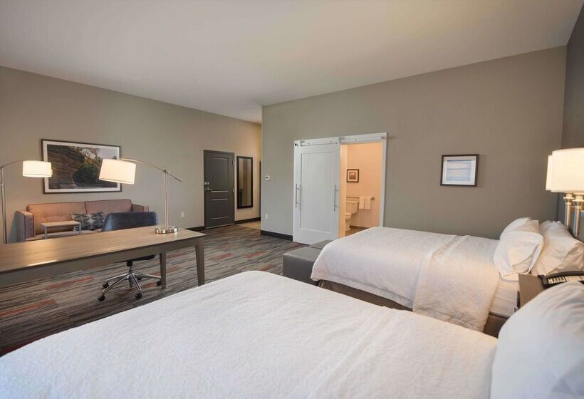 Отель Hampton Inn & Suites At Wisconsin Dells Lake Delton