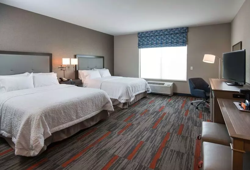 ホテル Hampton Inn & Suites At Wisconsin Dells Lake Delton