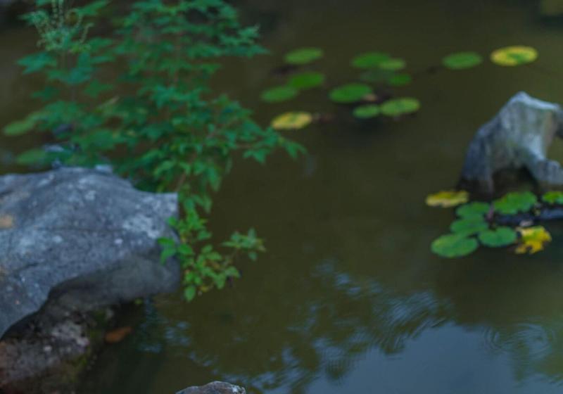 渡假胜地  Yangshuo Leisure Tea Lodge