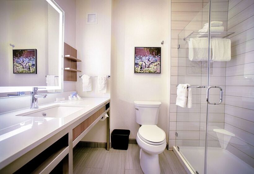 Отель Hilton Garden Inn Santa Barbara/goleta