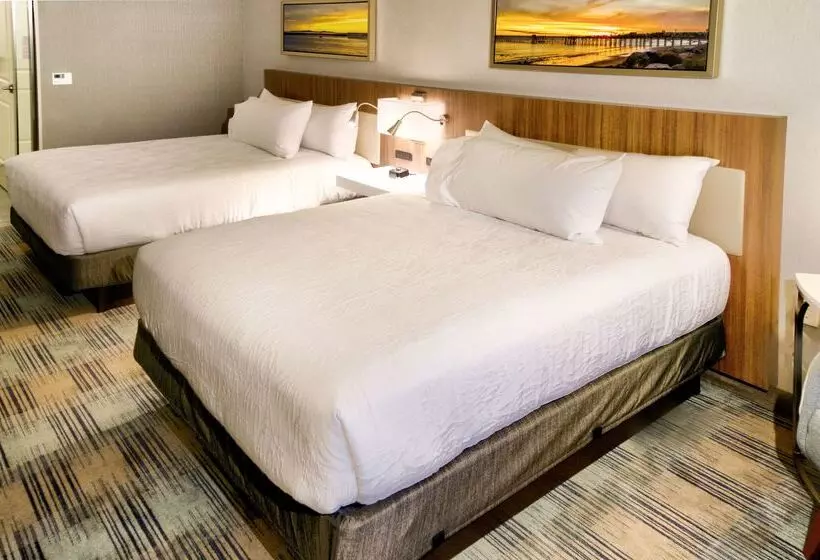 ホテル Hilton Garden Inn Santa Barbara/goleta