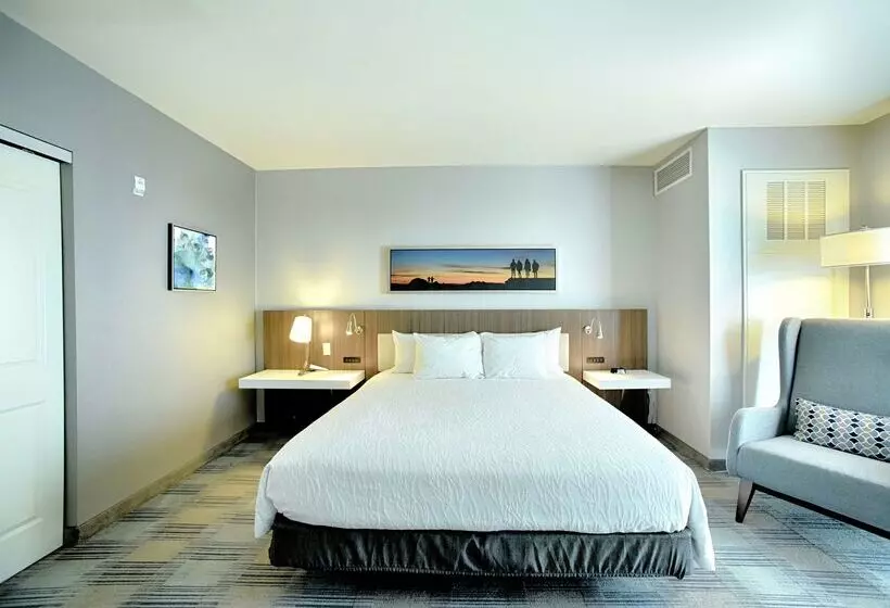 ホテル Hilton Garden Inn Santa Barbara/goleta
