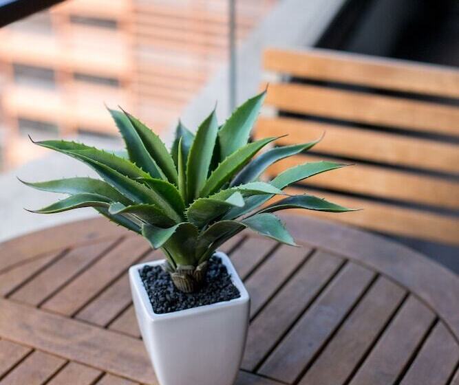 Abc Accommodation 534 Flinders