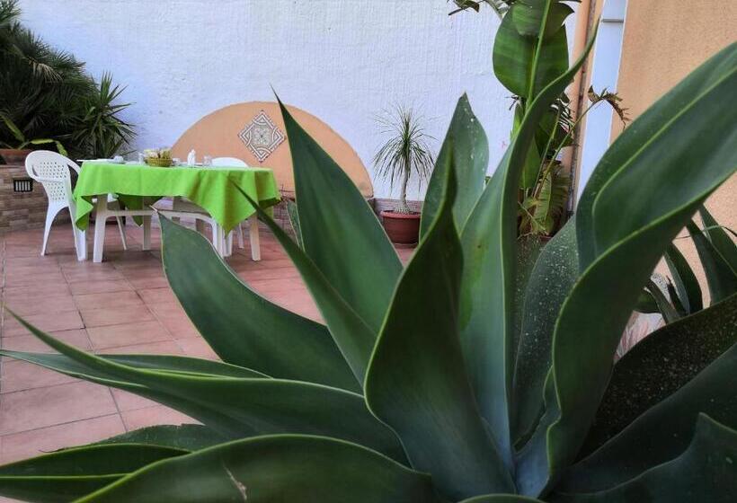 Bed and Breakfast La Mimosa Di Erice