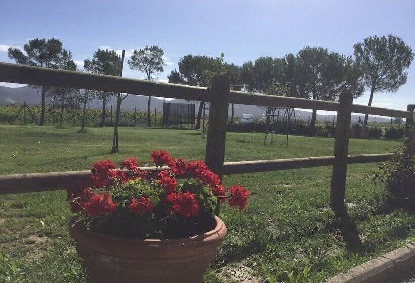 酒店 Agriturismo Terra Di Cortona
