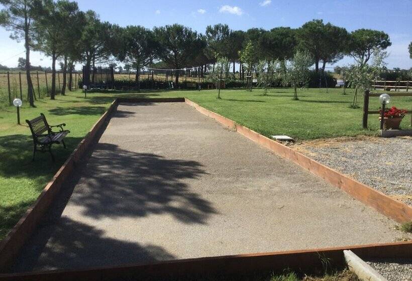 酒店 Agriturismo Terra Di Cortona