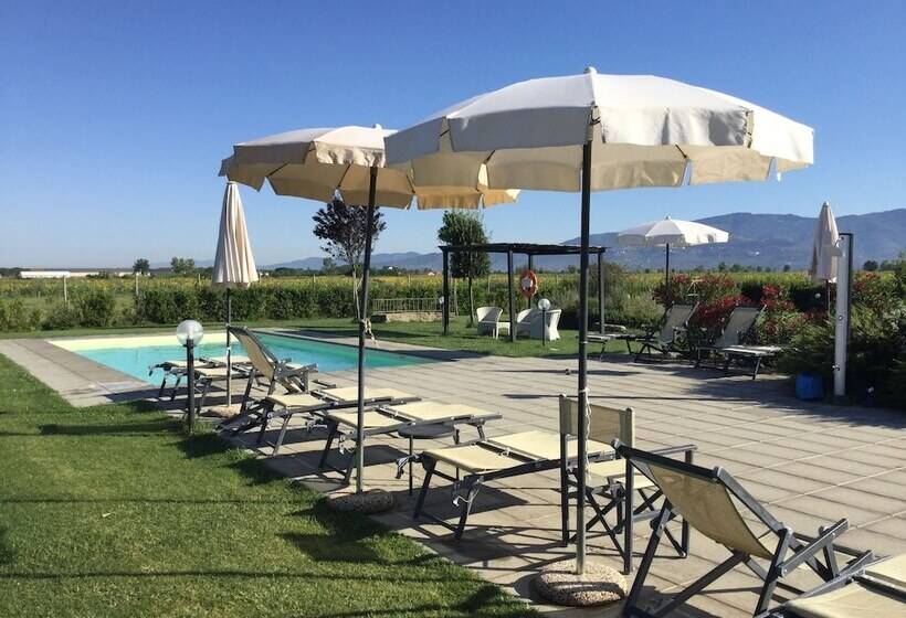 酒店 Agriturismo Terra Di Cortona
