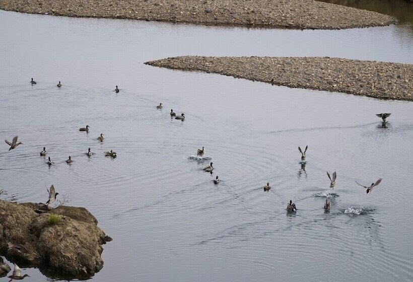 Apa Hotel Miyazaki Nobeoka Chuo