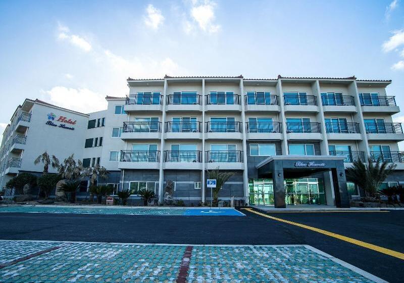 בית מלון כפרי Blue Hawaii