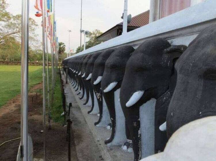 Szálloda Rajarata Lodge