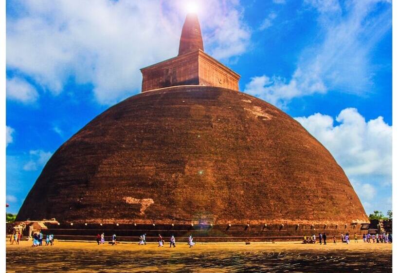 Szálloda Rajarata Lodge