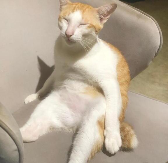 פנסיון Syri Guesthouse Vientiane Hostel & Cafe