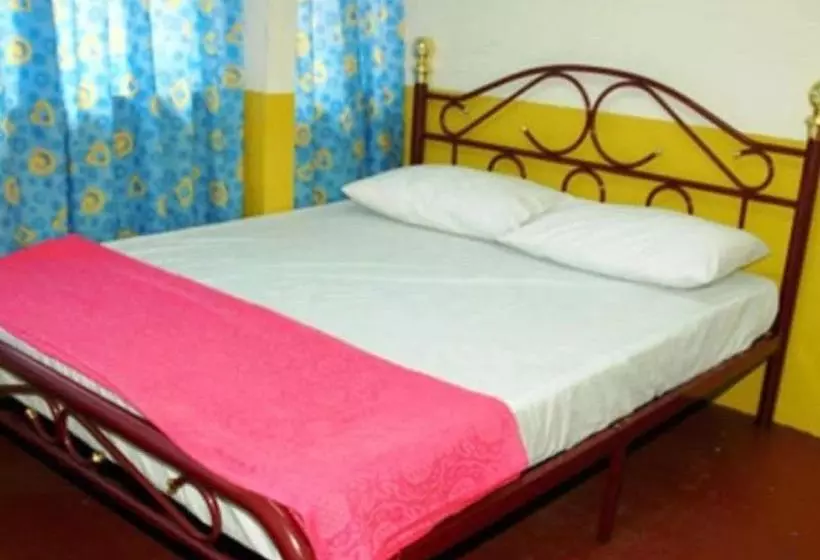 هاستل Stay In Lodge