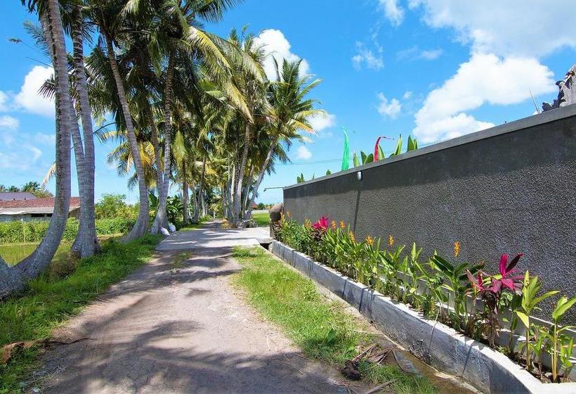 Szálloda Airy Sukawati Sutami Gunung Sari 99x Bali