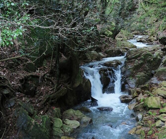 ペンション Wanokura