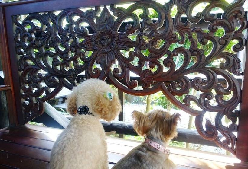 בית מלון כפרי Shikino Kura